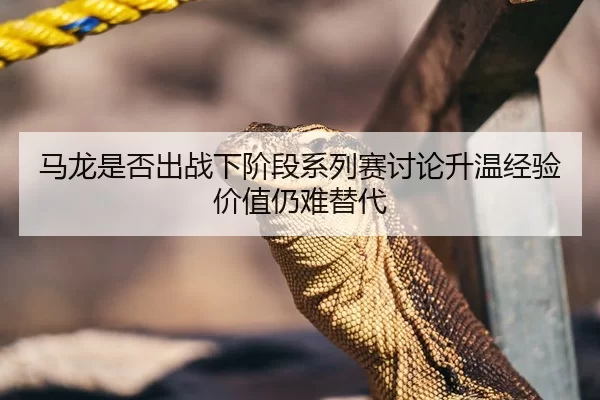 马龙是否出战下阶段系列赛讨论升温经验价值仍难替代