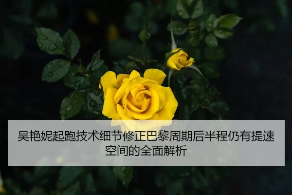 吴艳妮起跑技术细节修正巴黎周期后半程仍有提速空间的全面解析
