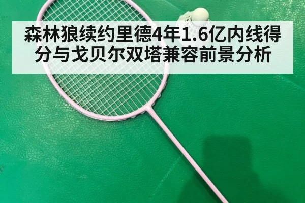 森林狼续约里德4年1.6亿内线得分与戈贝尔双塔兼容前景分析