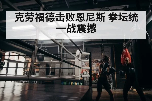 boxer training